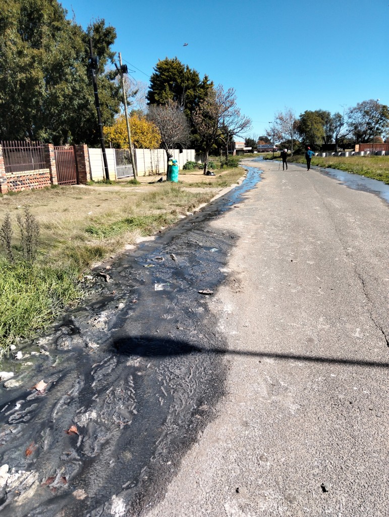 Raw sewerage from the two sewer lines flows freely down Unicor Road. Pedestrians and school children have to daily navigate this mess.   
