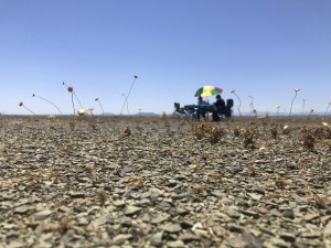 World braces for potentially strongest El Niño on record as ocean temperatures soar