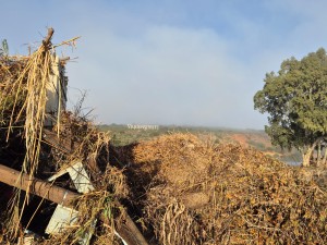 Vloede saai verwoesting in Langeberg terwyl krokodil glo gesien word