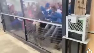 Xenophobic tensions simmer in Kraaifontein schools