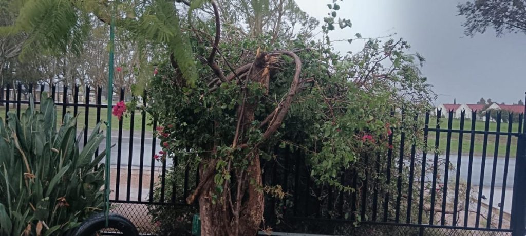 Die gure weersomstandighede is besig om grootskaalse verwoesting en chaos in Worcester te saai.