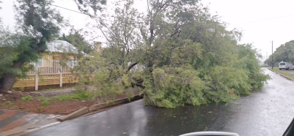 Die gure weersomstandighede is besig om grootskaalse verwoesting en chaos in Worcester te saai.