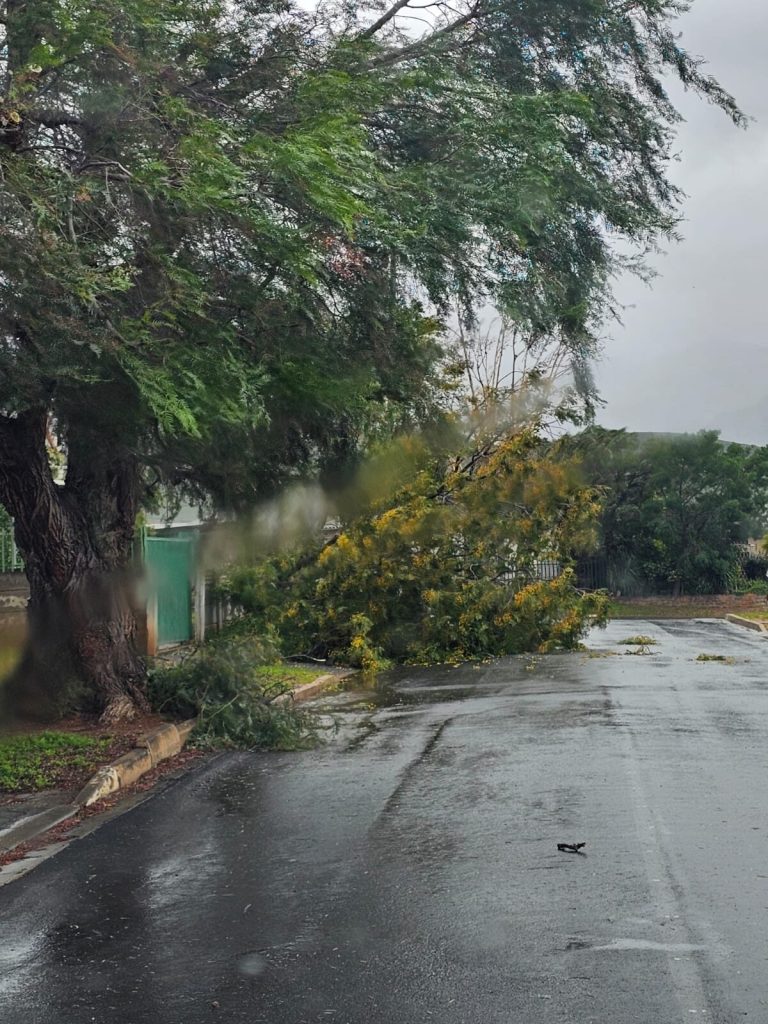 Die gure weersomstandighede is besig om grootskaalse verwoesting en chaos in Worcester te saai.