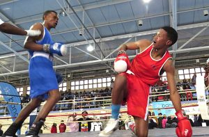 Boxers ready to trade leather in provincial championship