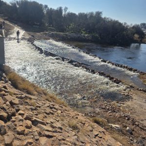 WATCH | MEC warns against illegal toll operations on flooded roads