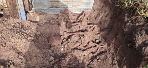 Storm cleanup in Hermanus leads to discovery of human remains in informal settlement