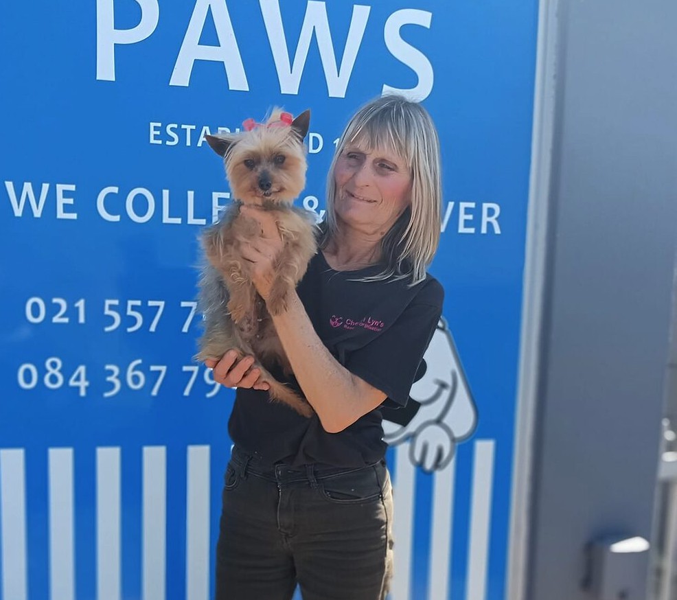 Cheryl-Lyn's Rescue Organisation urgently needs roofing materials and donations to keep rescued animals safe and dry.