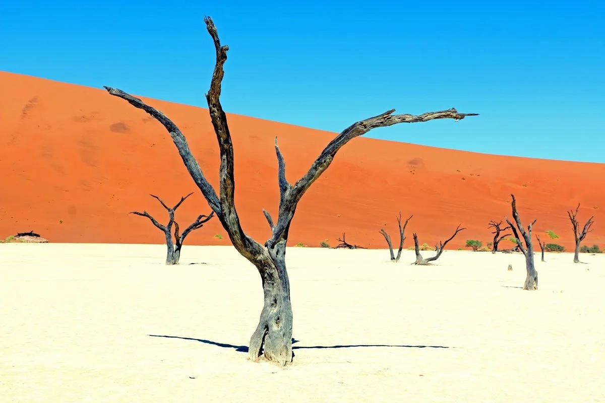 Sossusvlei airplane crash kills four.