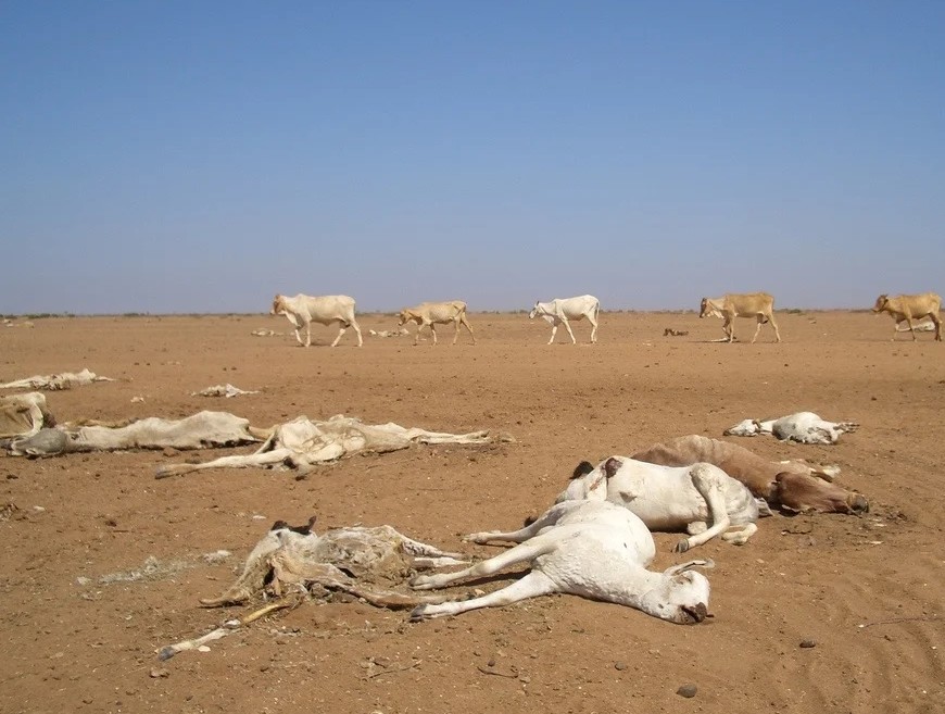 super El Niño
