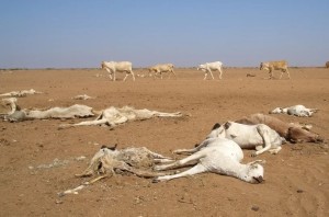 Record-breaking El Niño threatens extreme weather worldwide