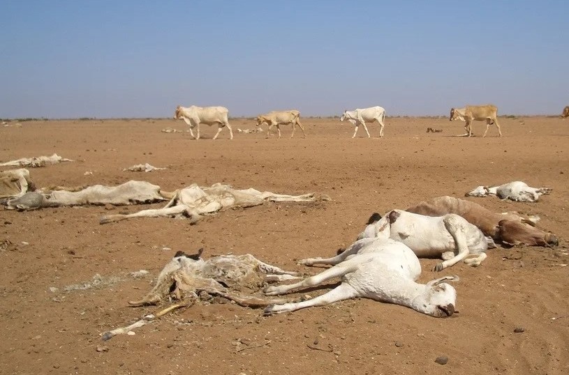 How a super El Niño could trigger global famine