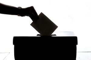 ANC verloor 50 wyke in tussenverkiesings sedert 2021; politiek toenemend streeksgebonde, sê kenner