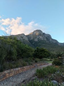 Claims of neglect at Kirstenbosch spark SANBI controversy