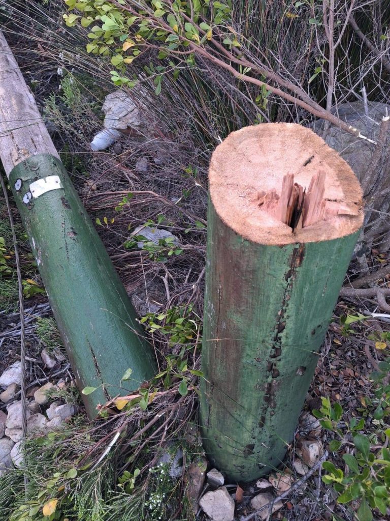 Hermanus power pole vandals.