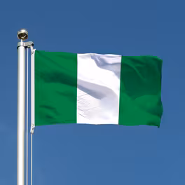 Nigeria to evacuate 130 citizens from South Africa after attacks.