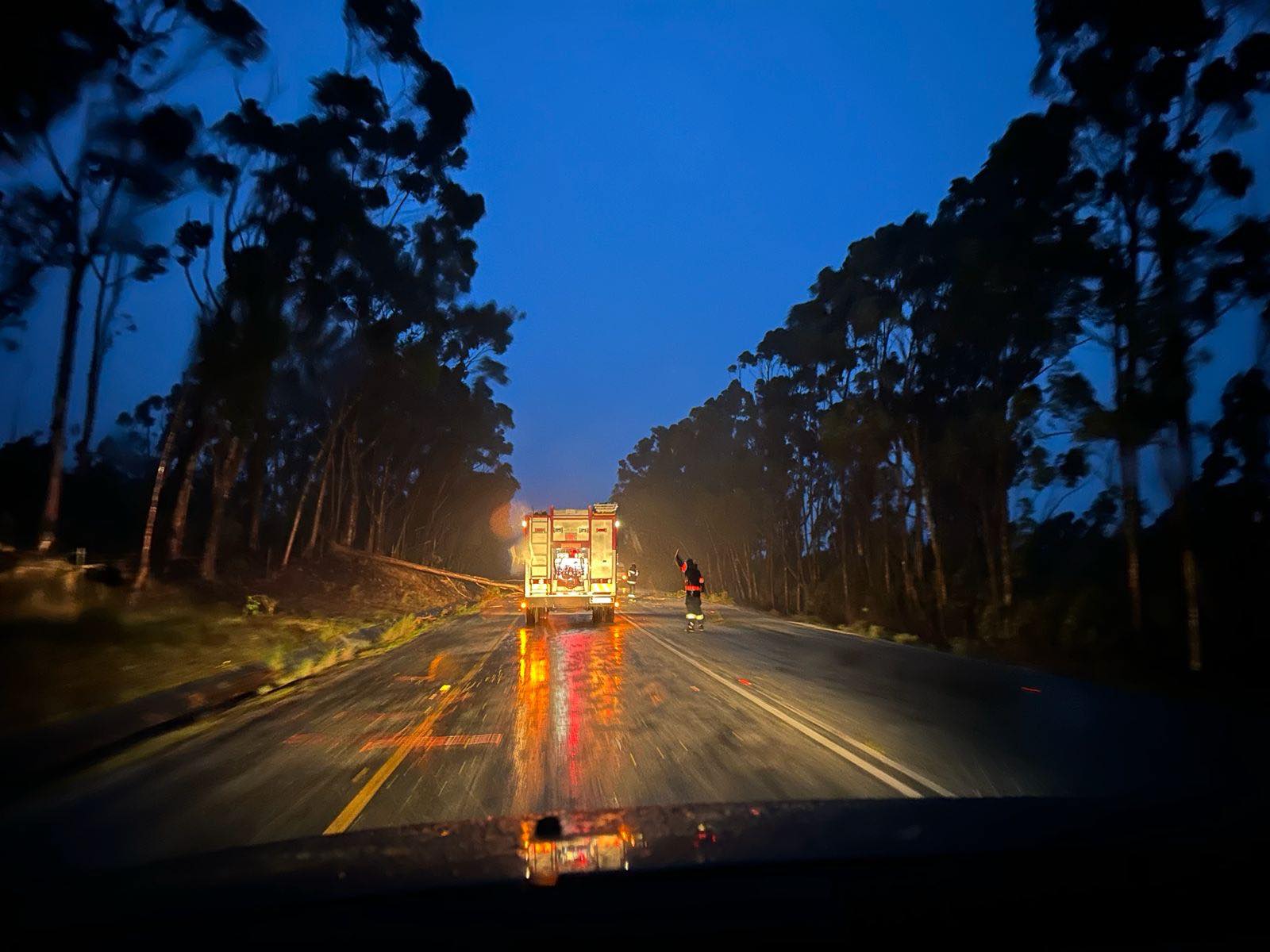 A tree obstructing the road at Arabella. Overstrand, on Monday.