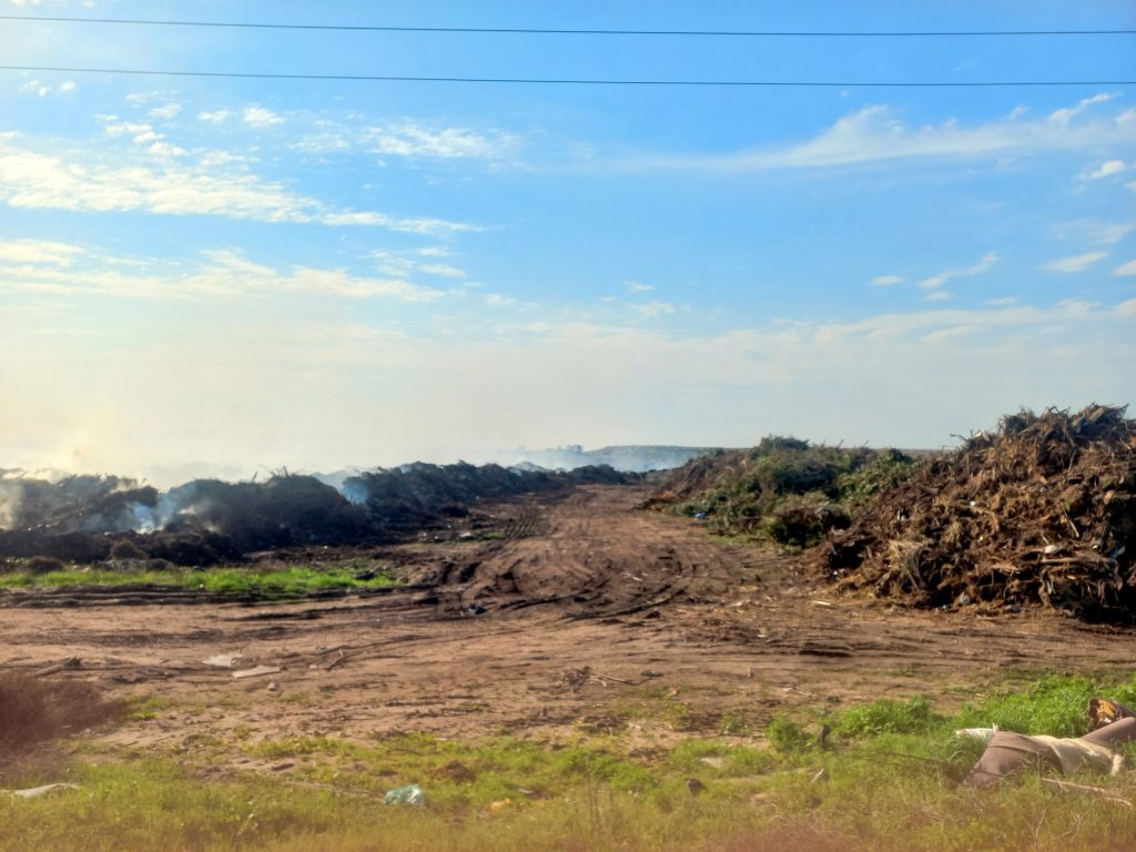 Smouldering heaps of garden rubbish. Photo: Alida Buckle