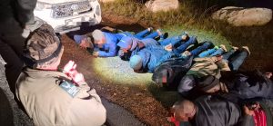 SANParks arrests 12 suspects in Cape Point abalone poaching operation