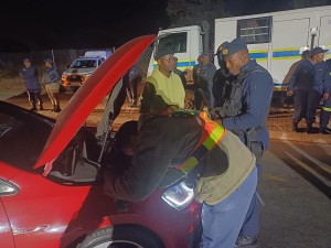 42 Illegal immigrants arrested in Diepsloot