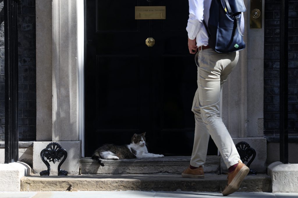 Larry the cat of Downing Street.