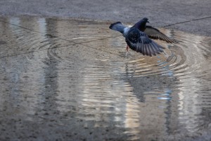 At least 191 million Europeans face 35 °C on Sunday