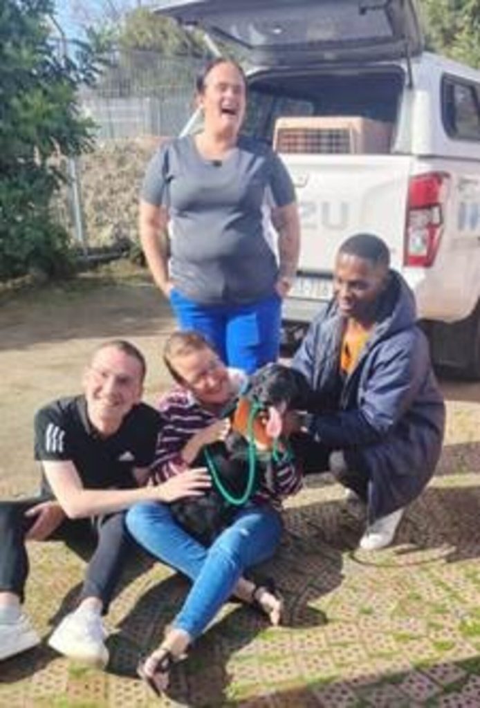 Mdzananda Animal Clinic Bandit