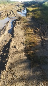 R720 road deterioration leaves Ngwathe communities without timeline for repairs