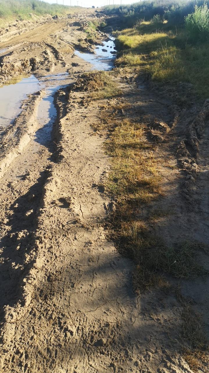 R720 road deterioration leaves Ngwathe communities without timeline for repairs