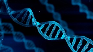 DNA evidence links serial rapist and robber to decade-long crime spree