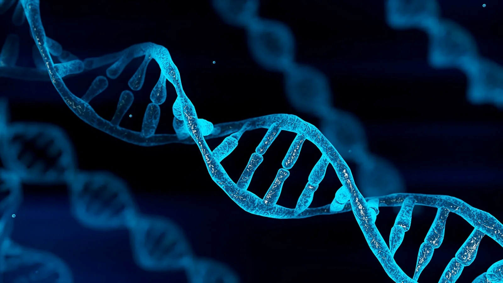 DNA evidence.