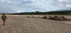 Flood devastation wipes out crops on Gamtoos Valley farm