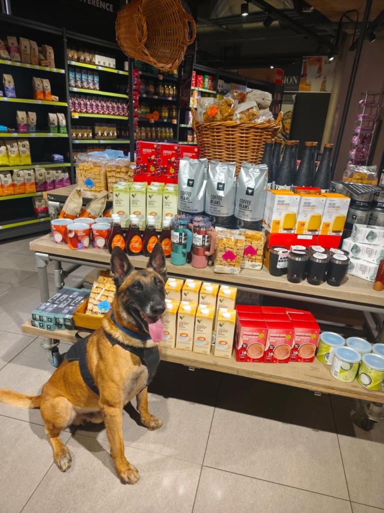 K9 sniffer dogs formed part of increased security measures at Woolworths stores nationwide.