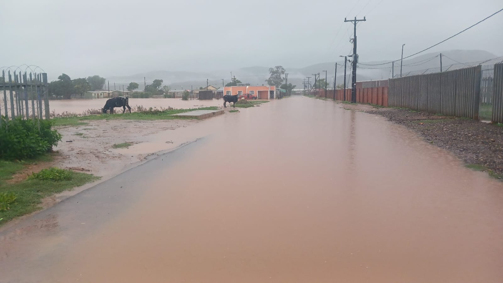 Heavy rains have forced major road closures across the Eastern Cape, with both the Department of Transport and Kouga Municipality issuing urgent advisories.