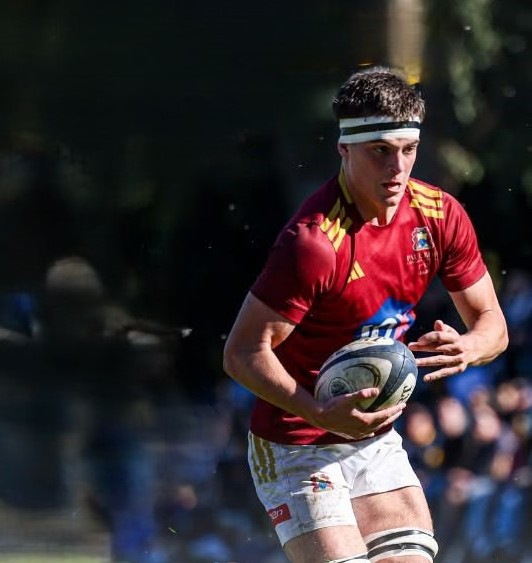Paul Roos Gymnasium, Springboks