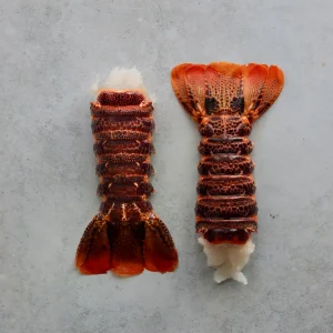Drinking in public leads to major crayfish bust in Cape Town