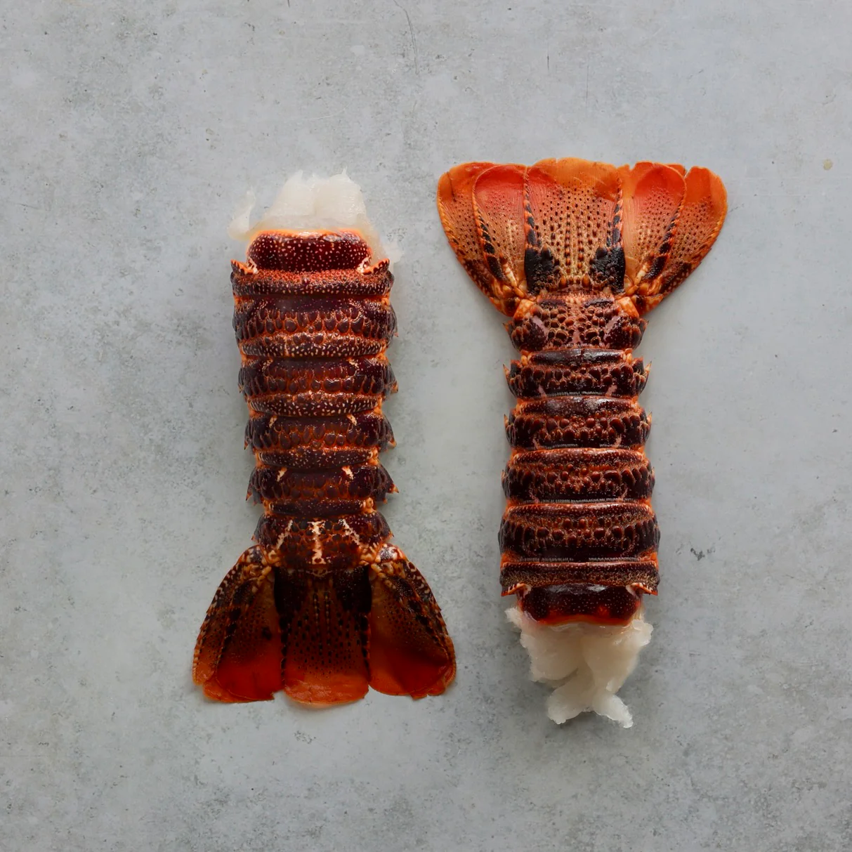 Rock lobster poaching.