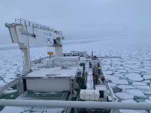 WATCH | Study shows Antarctica’s frozen sea teeming with climate-cooling microbes