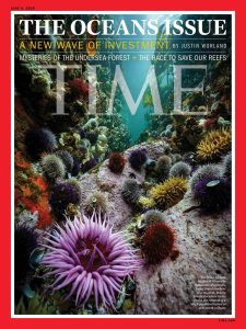 Underwater treasure near Simon’s Town featured in TIME magazine