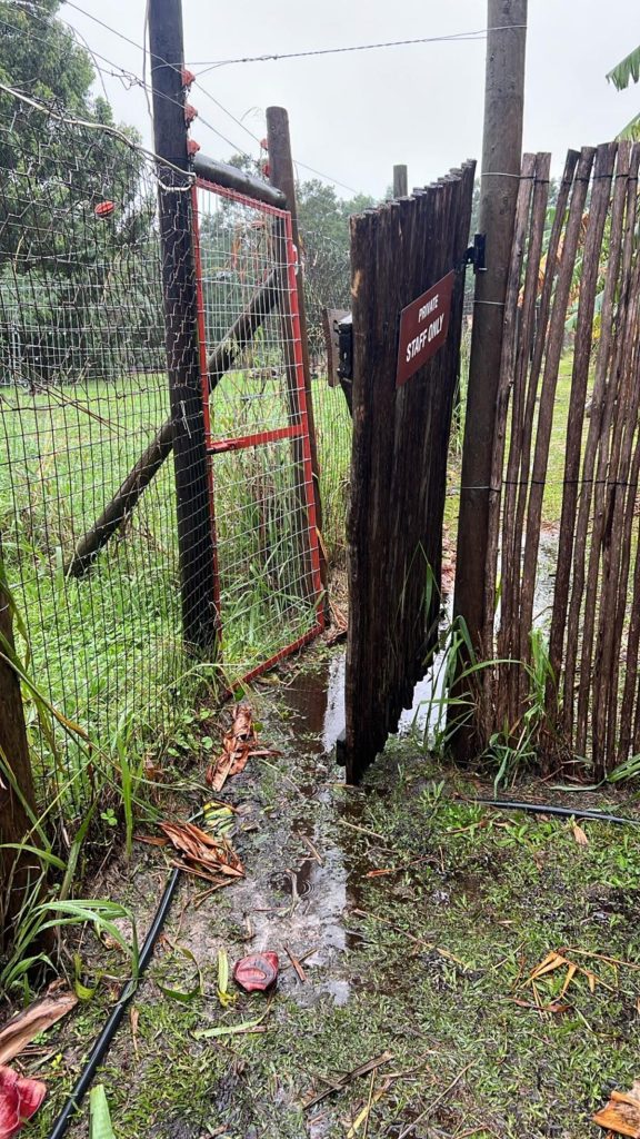Tsitsikamma Wolf Sanctuary is recovering after severe May flooding.