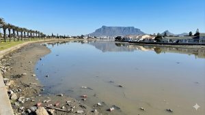 Improved water quality offers hope for Milnerton Lagoon, but concerns remain