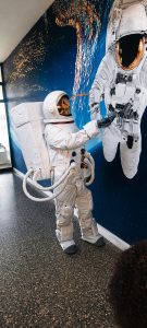 Rooibos blasts into space in South African first