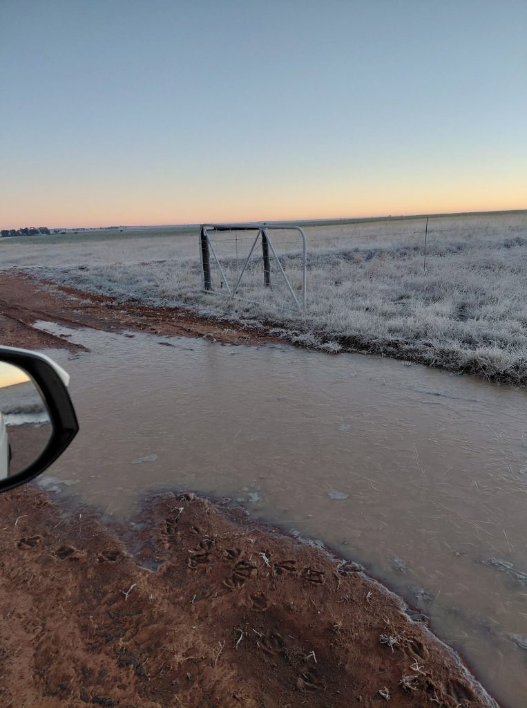 Hierdie is op Annalize Botha se plaase buite Bloemfontein op die N6-pad geneem. Dit was -4 grade celsius. 