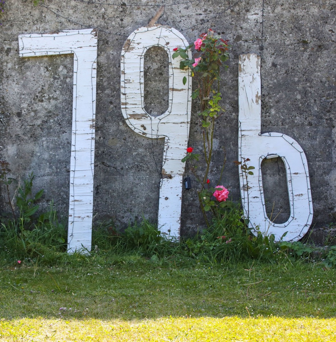 Forensic exams begin at Ireland mother and baby home mass grave site