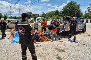 Nine Thai monks killed after 11-year-old drives truck into procession