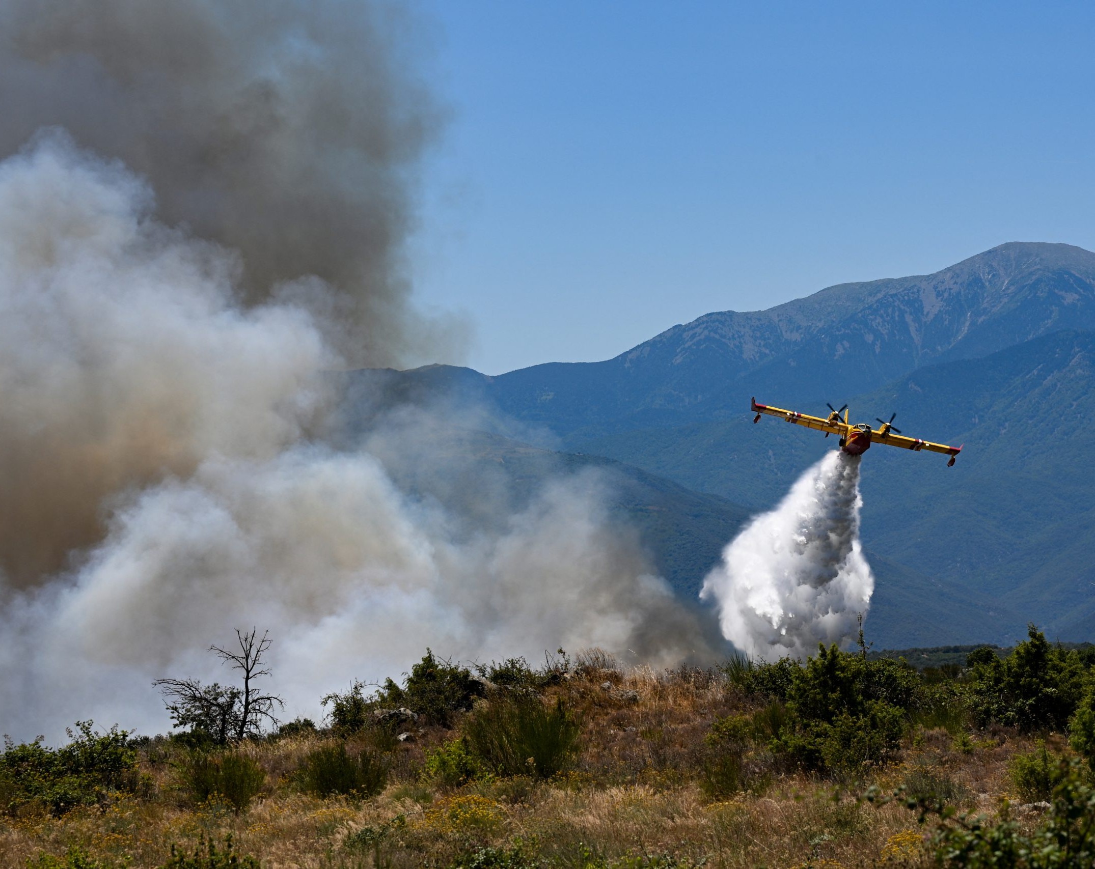 Concern over French wine production after the wildfires of 2026.