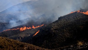 Wildfire kills at least 12 of different nationalities in southern Spain