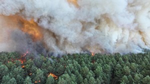 Massive forest fire forces evacuations near Paris as France battles third heatwave