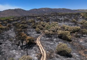 Two firefighters killed in Greece as Europe battles deadly wildfire season