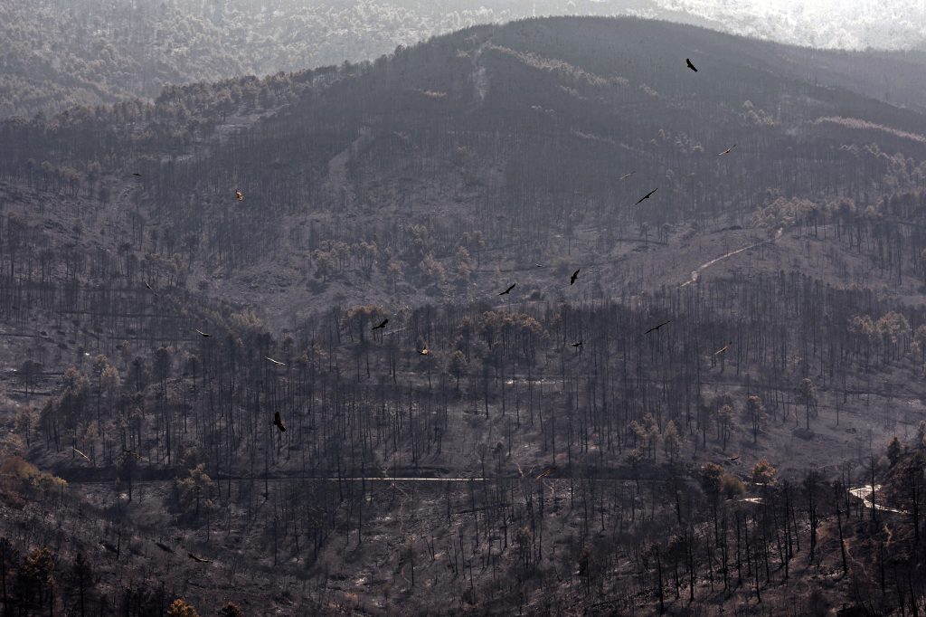 European wildfires destruction.