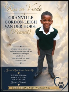 Seun (8) sterf in fratsongeluk op sportveld oorkant ouerhuis